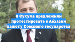 В Сухуме предложили протестировать в Абхазии валюту Союзного государства