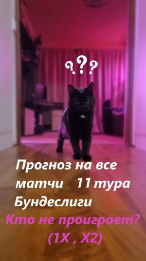 Прогноз на всё матчи 11 тура Бундеслиги.