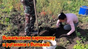 ПРИЕХАЛИ НА ДАЧУ КОПАТЬ КАРТОШКУ/ВЫКАПЫВАЕМ КАРТОШКУ И РУГАЕМСЯ С ВИТАЛЕЙ/ВЫКОПАЛИ КАРТОШКУ И РЕШИЛИ