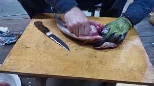 110ка тест на судаке