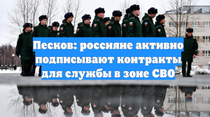 Песков: россияне активно подписывают контракты для службы в зоне СВО