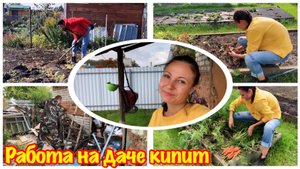 ПОСЛЕДНИЕ ДЕНЬКИ НА ДАЧЕ/ОСЕННЯЯ УБОРКА ОГОРОДА/СОБИРАЮ УРОЖАЙ/ЗАКАНЧИВАЕТСЯ ДАЧНЫЙ СЕЗОН