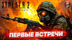 Первые встречи - S.T.A.L.K.E.R. 2: Heart of Chornobyl стрим прохождение #2