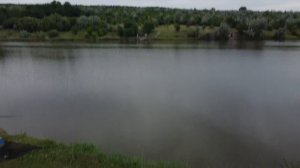 #дубовка #карпфишинг #Ставрополье