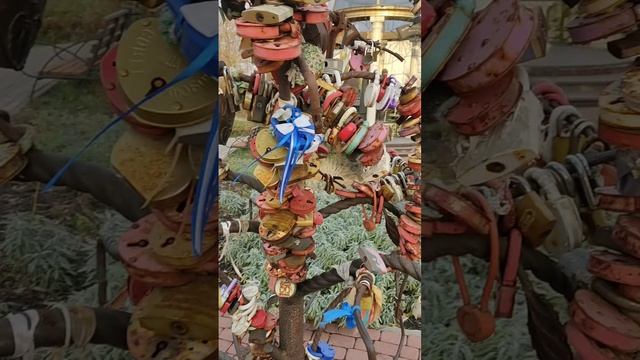 Белгород, какая красота.