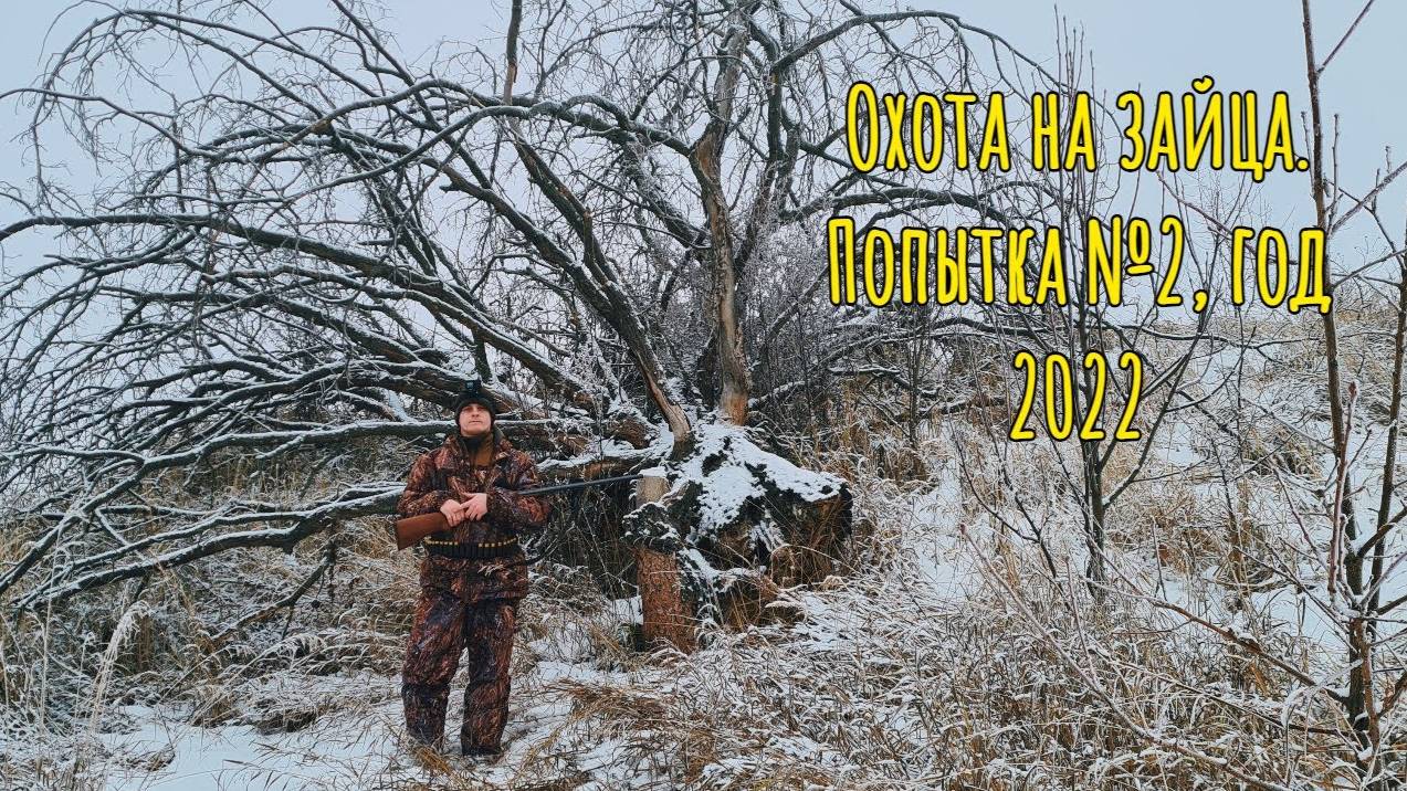 Охота на зайца. Попытка №2, год 2022