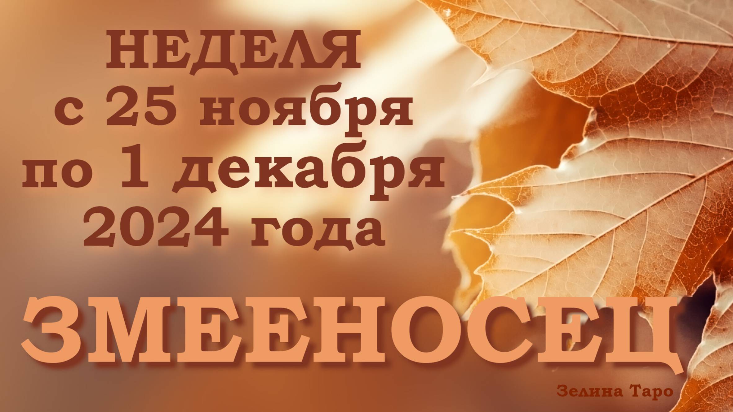 ЗМЕЕНОСЕЦ | Таро прогноз на неделю с 25 ноября по 1 декабря 2024 года