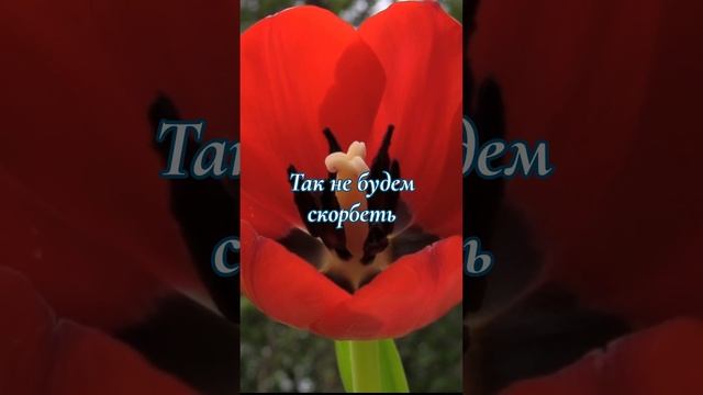 Неужели так трудно поверить? | Эллен Уайт о Боге, спасении и вечности