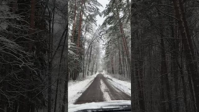 В Москве лёг снег 😍