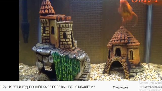 ну вот и год прошел сюж 1219