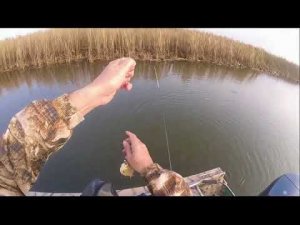 Красноперка на микроджиг
