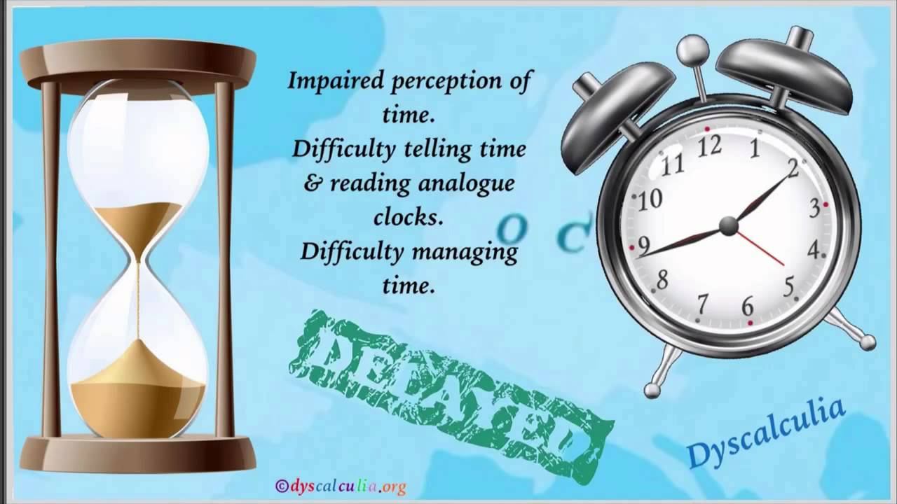 Dyscalculia Signs & Research by Dyscalculia.org смотреть онлайн