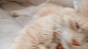 Ксения Зайцева о маме