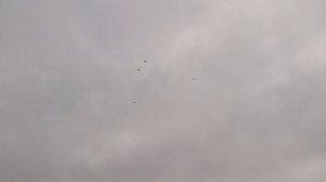 леушковские муроголовые