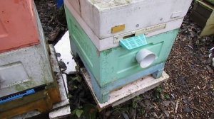 работа с пчелами в ноябре - подготовка к зимовке летнего отводка 24.11.2024
