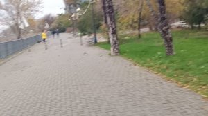 Сегодня в Анапе резко похолодало. Ветер и штормит! 24 ноября 2024. 13.00