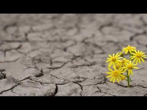 Нашид я Раджаи очень красивый и успокаивающий