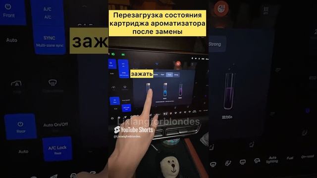 Перезагрузка состояния картриджа ароматироза после замены в #lixiang смотреть онлайн
