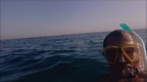 Почему я плаваю в море в гидрокостюме 26 10 2020