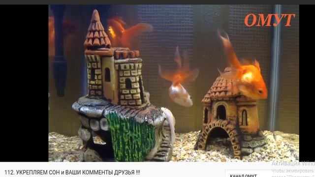 сюж 112 укрепляем сон