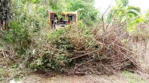 Take a Look at the Caterpillar D6R XL Bulldozer, Operator Expertise Encourages Forests