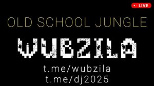 Зимние популярные музыкальные новинки хиты 2024 2025 для дискотек - drum-and-bass music live DJ mix
