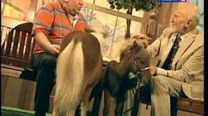 В мире животных с Николаем Дроздовым 2012 г Выпуск - 48