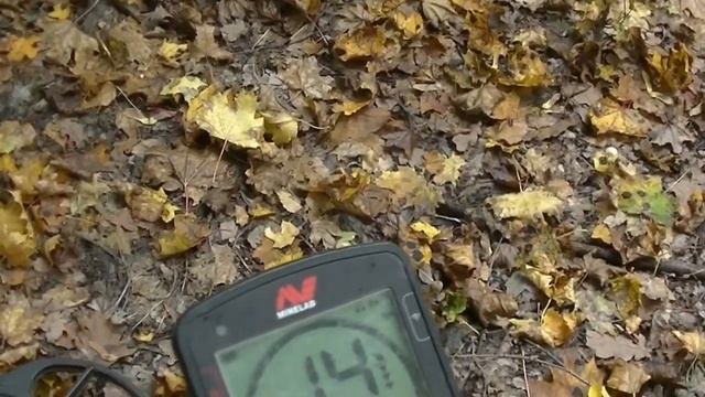 Поиск с использованием металлоискателем