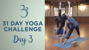 Day 3 - Aging Gracefully with Susan Desmarais - 31 Day Yoga Challenge