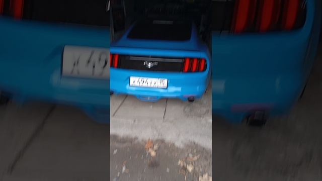Mustang 🐎 смотреть онлайн