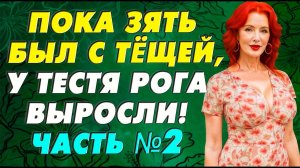 Тёща и зять продолжили тайно встречаться…