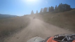 Ралли Алтай 2021 трейлер