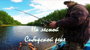 Рыбалка на лесной реке