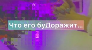 ⚜️Его сейчас состояние АсгардРоссия легописология окультпсихология 📹👇