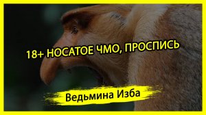 18+ НОСАТОЕ ЧМО, ПРОСПИСЬ. #ВЕДЬМИНАИЗБА ▶️ #МАГИЯ