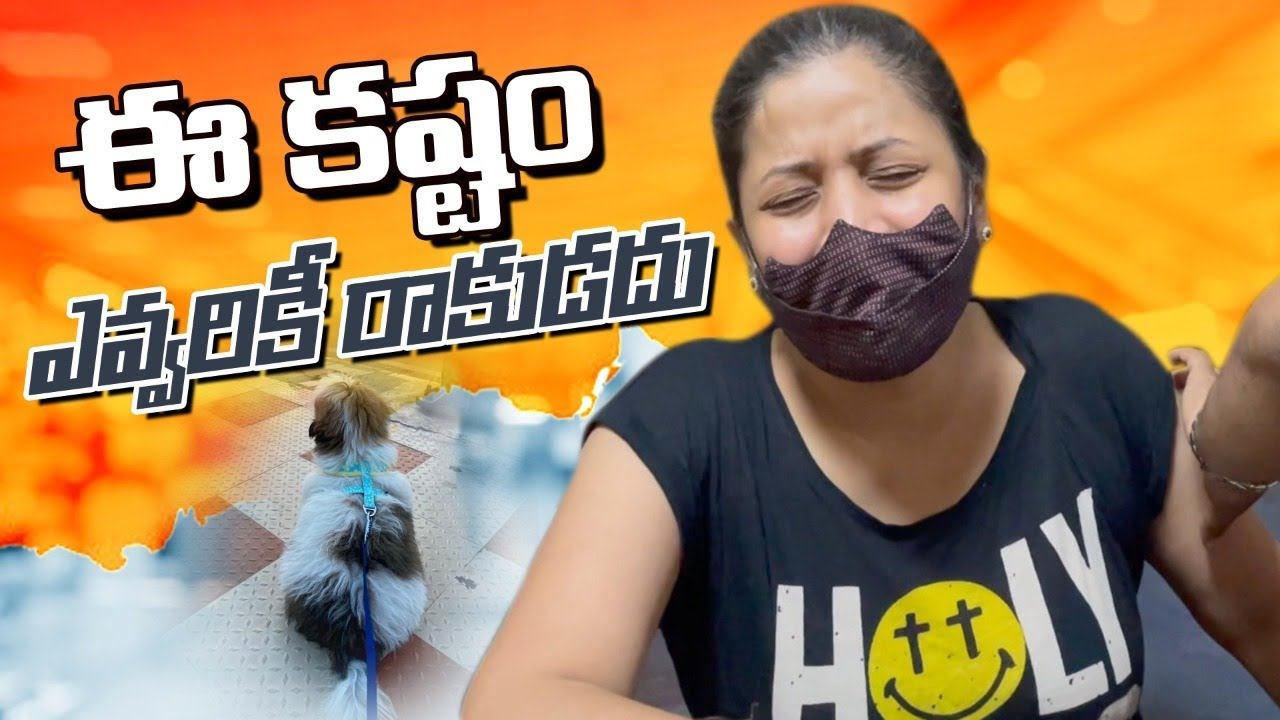 ఈ కష్టం ఎవ్వరికీ రాకూడదు.| Pet Puppy Rescuing went wrong| Shocking Dog Biting Story|Sushma Kiron смотреть онлайн