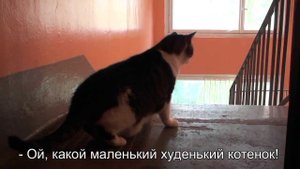 Экология и экономия