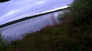 Рыбалка на спининг с берега,  разведка боем