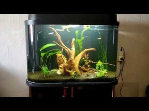 Аквариум 150 литров