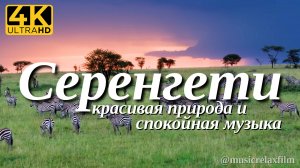 4К Серенгети | Видео о животных и природе с успокаивающей, спокойной музыкой для медитации, сна