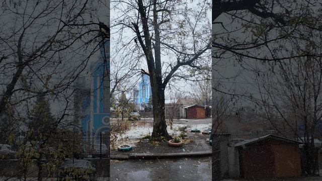 Лугански заснеженный дворик, ЛНР, Россия