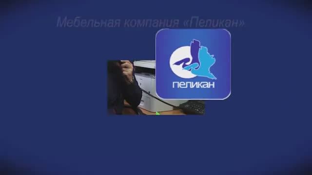 Фабрика «Пеликан», г.Пенза