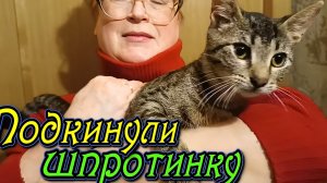 Подкинули шпротинку.