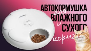 Автокормушка для кошек с охлаждением для влажного корма - обзор Tenberg Yummy X2