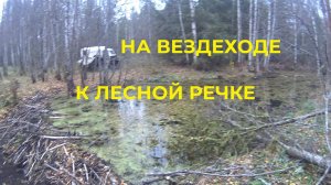 Воскресная поездка на вездеходе Белый Лис к лесной речке.