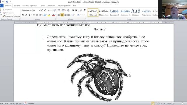 Паучий разбор. Паучий разбор