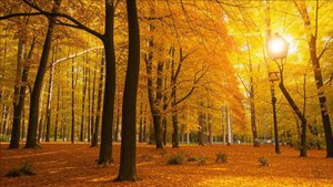 Интересные истории - Предательство отца....