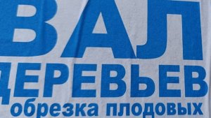 К чему приводит арбористика - кронирование в плодоводстве. Запись эфира с моим  коллегой Алексеем.