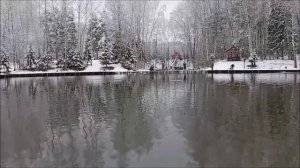 Поимки форели на блесну. Рыбалка на спорт-зоне. Клёвое место Лосиный остров.