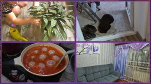 Хлопоты. ОБНОВЛЕНИЕ в доме АЖ на душе ЛЕГЧЕ. Завелись клещи и 🐭 😵